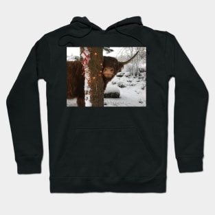 Scottish Highland Cattle Cow and Christmas Lights 2201 Hoodie